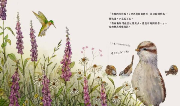 《風吹來的煩惱／風中的期待》雙封面雙主線